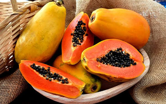 Semilla de papaya