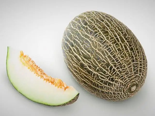 Semilla de melón piel de sapo