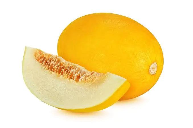 Semilla de melón canario