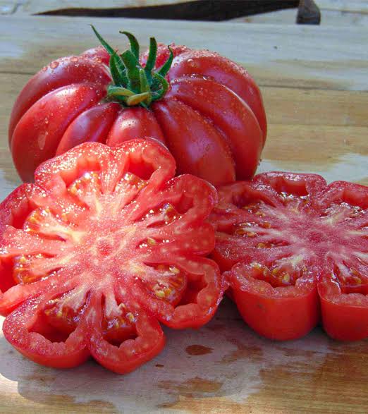 Semilla de tomate mushroom basket